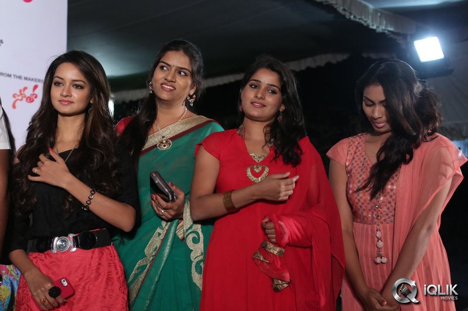 Gallo-Telinattunde-Movie-Audio-Function